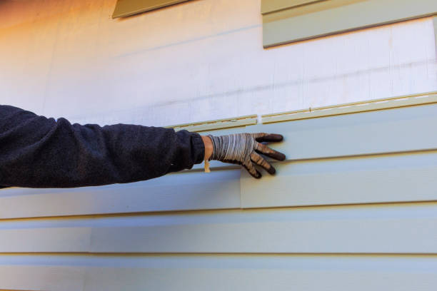 Professional Siding Installation & Repair in Kissee Mills, MO